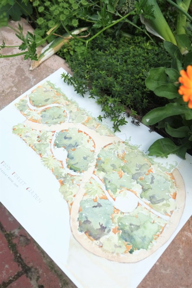 Farnham Street Food Forest Plan